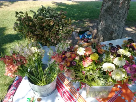 Bunches of fresh flowers in buckets displayed on an outdoor table.