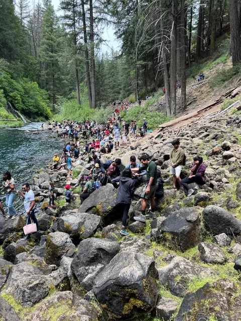 A large group of people gather along a rocky riverbank in a forest.