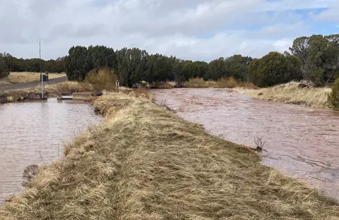 A landscape view of a muddy river flowing past grassy banks and trees under a cloudy sky.