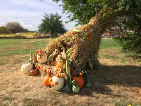A large cornucopia made of hay filled with pumpkins and gourds outdoors on a lawn.