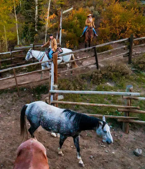 Two people ride horses near a wooden fence outdoors.