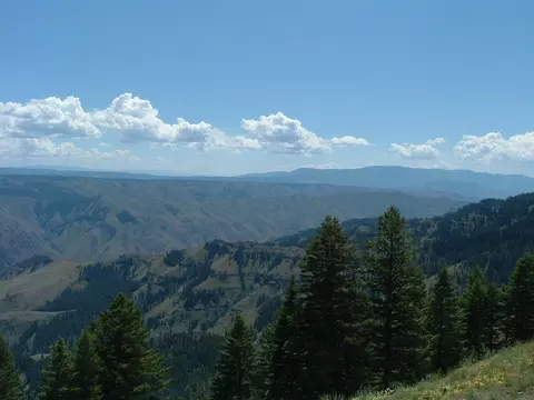 A scenic view of rolling green mountains and forests under a blue sky with scattered white clouds.