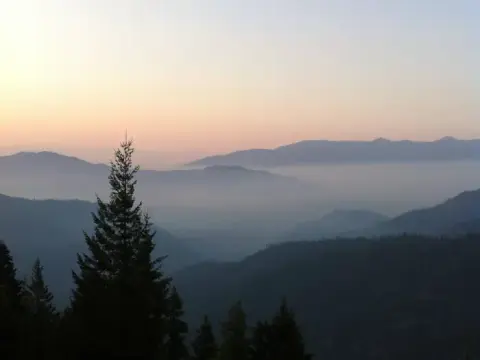 A scenic view of mountain ranges layered in fog during sunrise with pine trees in the foreground.