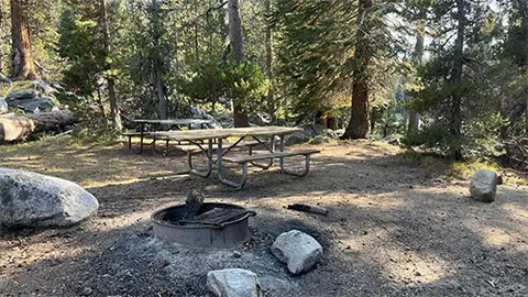 A campsite with picnic tables and a fire ring surrounded by trees.
