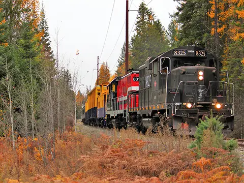 A train travels on tracks through a forest with autumn foliage.