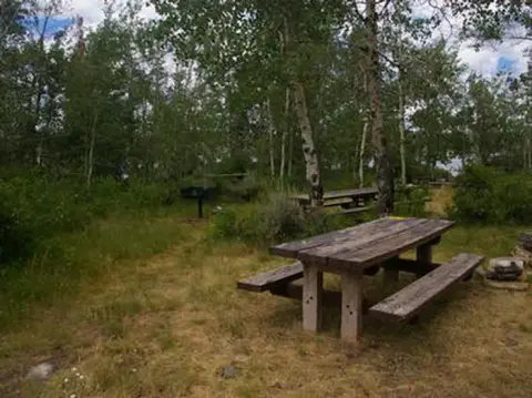 A wooden picnic table stands in a clearing surrounded by trees.
