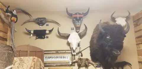 A wall adorned with various mounted animal heads and horns.
