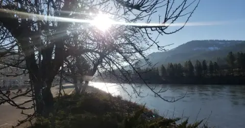 A river flows past a treed bank with mountains in the background under a bright sun.
