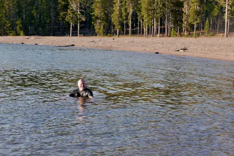 A man swims in a lake with a sandy shore and pine trees behind it.