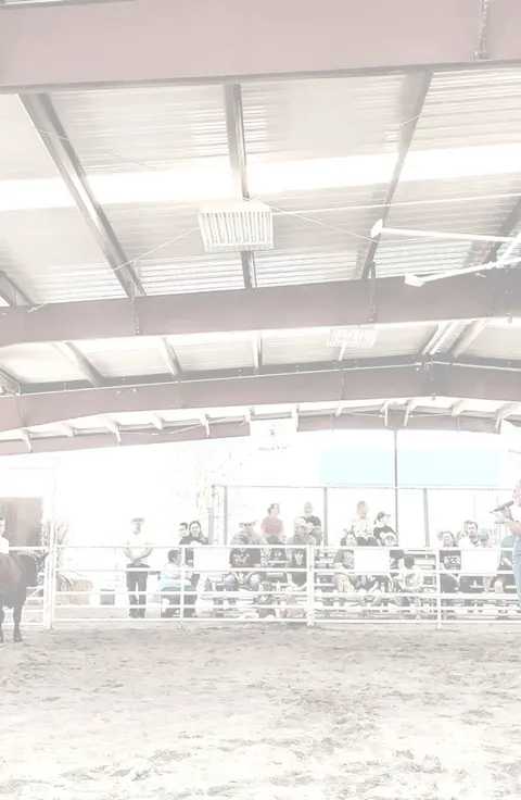 An indoor arena with spectators watching an event.