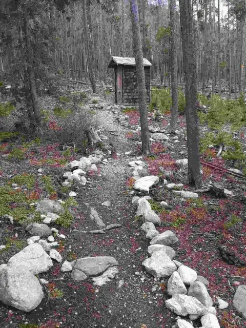 A stone-lined path leads through a forest toward a small wooden outhouse.