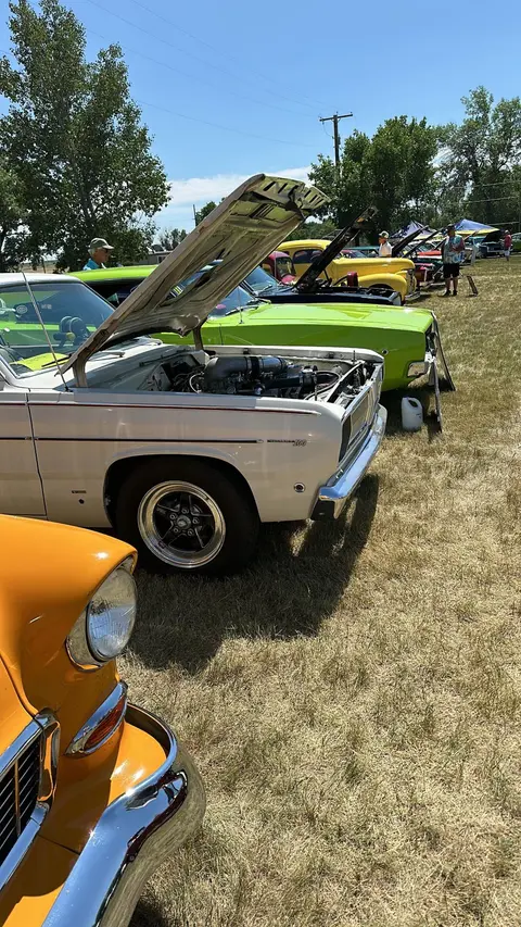 Classic cars parked in a row on grass at an outdoor event.