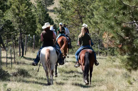People horseback riding on a trail through a wooded area.
