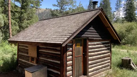 A small log cabin stands surrounded by green trees and foliage.
