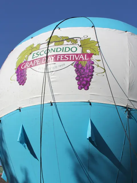 A hot air balloon displays a festival logo.