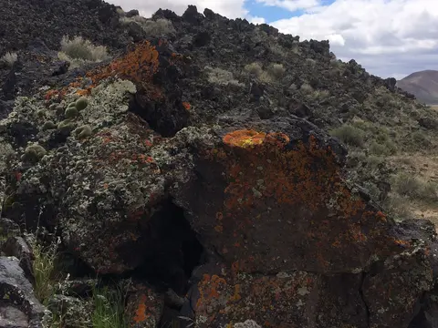 Lichen-covered volcanic rocks, Lunar Crater Back Country Byway.
