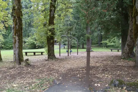 A playground with swings set among tall trees in a park.