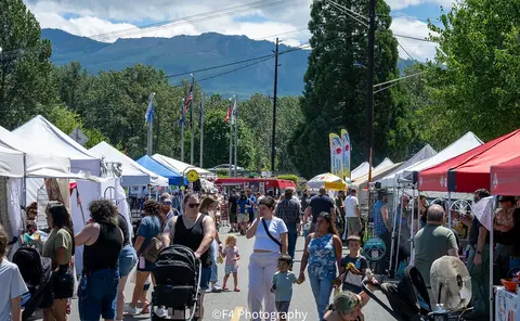 An outdoor street market with vendor tents and shoppers under a mountain view.