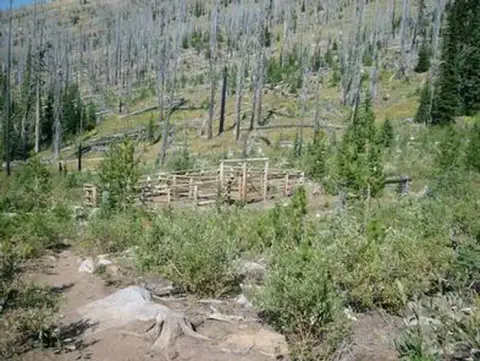A wooden corral in a mountainous, forested landscape with dead trees.