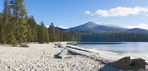 A sandy lake beach bordered by a pine forest and snow-covered mountains under a blue sky.