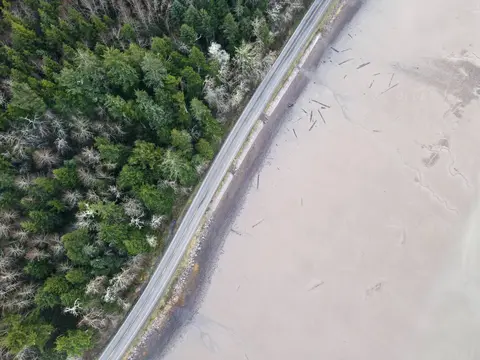 Aerial view of a coastal road running alongside a dense forest and a muddy shoreline.