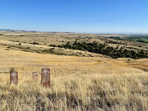 A wide landscape view of grassy hills and a valley with green trees under a clear blue sky.