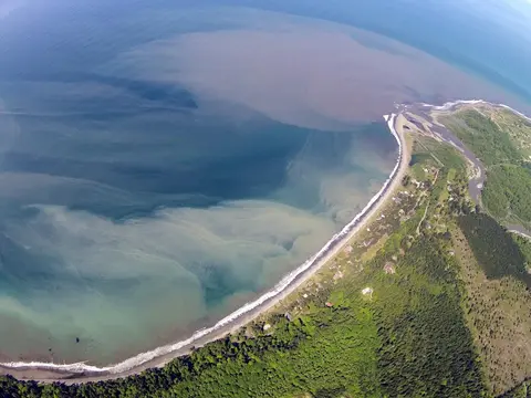 An aerial view shows a river mouth flowing into the ocean along a forested coastline.
