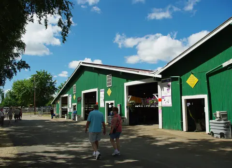 Livestock buildings, Washington County Fair.