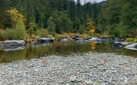 A wide river flowing through a forested landscape with a pebbly shore in the foreground.