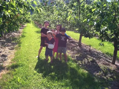 Four children picking fruit in an orchard.