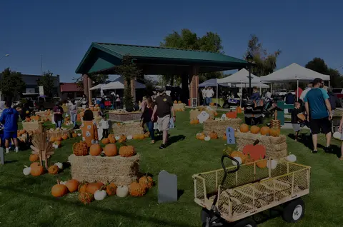 People walking through an outdoor pumpkin patch event with hay bales and decorations.