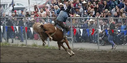 A cowboy rides a bucking horse in front of a crowd at a rodeo.