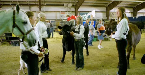 People standing with livestock inside an agricultural building.