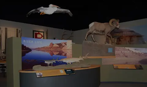 A museum exhibit featuring taxidermy animals and educational displays.