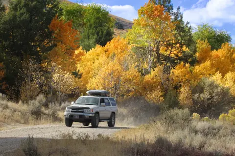 An SUV driving on a dirt road through a landscape with autumn foliage.