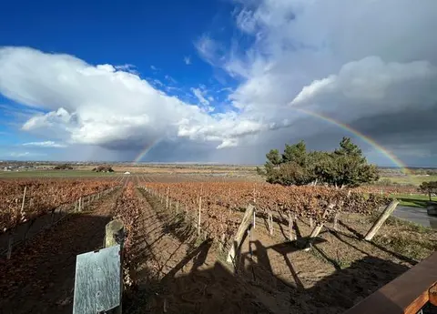 A rainbow stretches across the sky above rows of grapevines and fields.