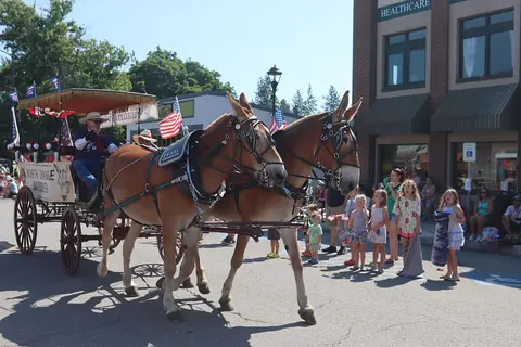 A pair of mules pulling a carriage in a parade on a street.