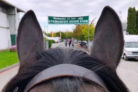 A view between a horse's ears looking toward a fair entrance.