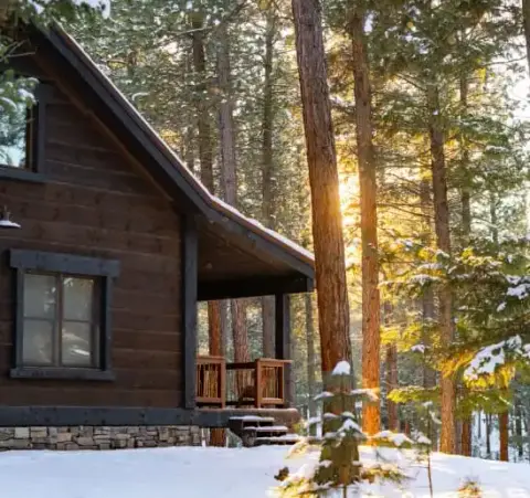A wooden cabin stands in a snowy forest.