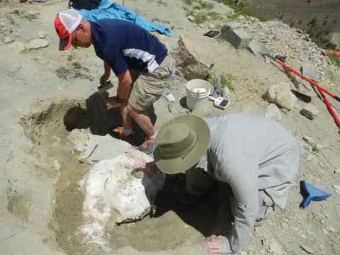 Two people excavating a fossil or artifact outdoors.
