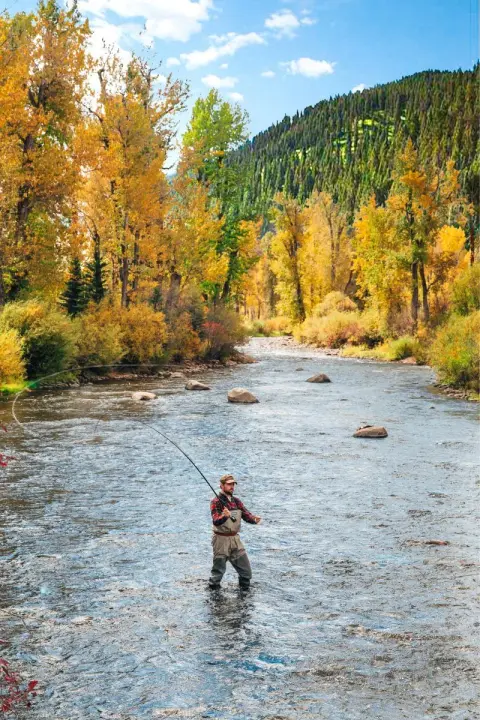 A person fly fishing in a river surrounded by autumn foliage.
