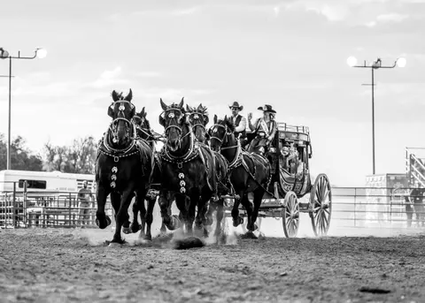 A team of horses pulls a stagecoach across a dirt arena.