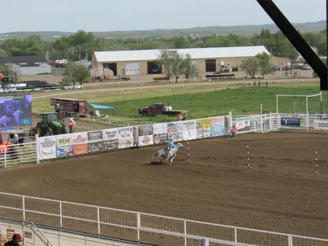 A rider on a white horse performs in an outdoor rodeo arena.