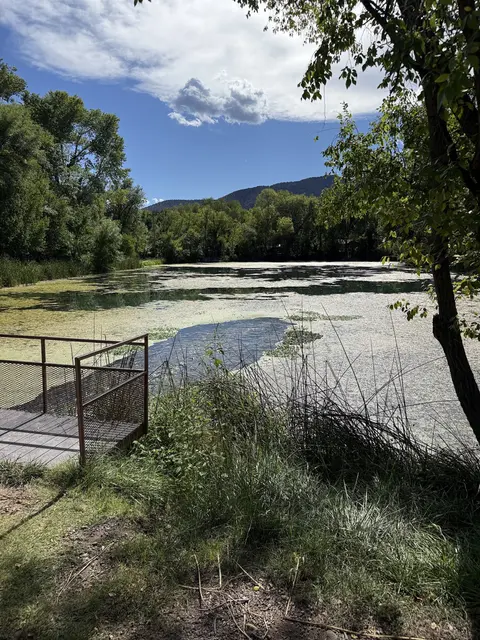 A pond surrounded by trees with a small viewing platform in the foreground.