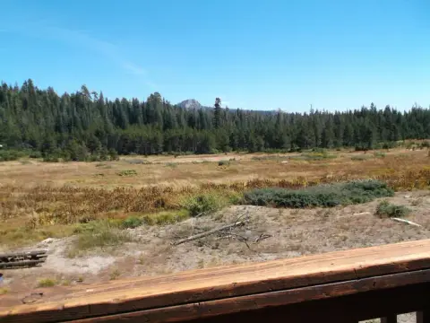 A scenic landscape showing a meadow, pine forest, and mountains under a blue sky, viewed from a wooden deck.