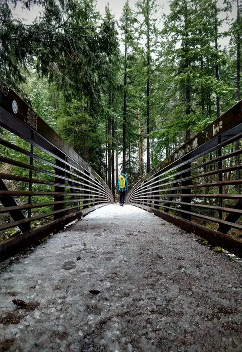 Trail bridge, Umpqua Hot Springs Trailhead.
