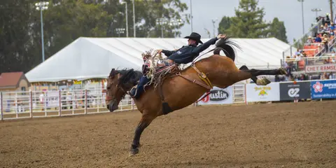 A cowboy rides a bucking horse in an arena during a rodeo.