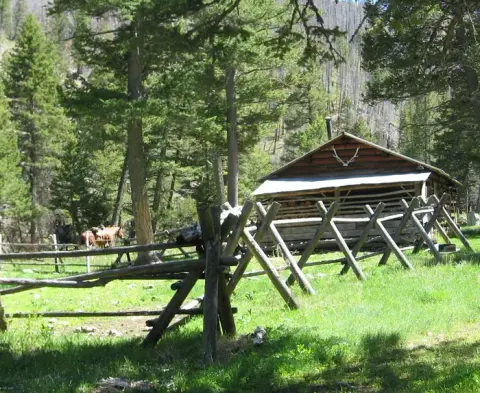 A rustic wooden cabin with a fence in a forest.
