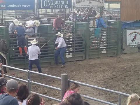 People at a rodeo near pens with horses and cattle.