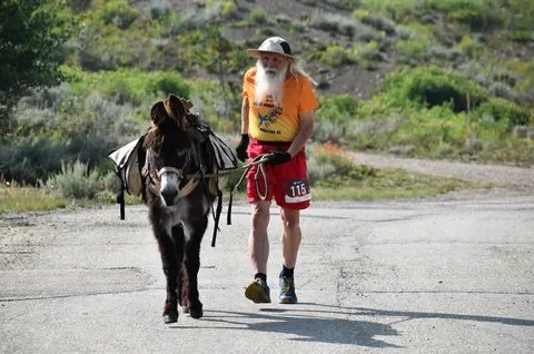 A man with a white beard walks a packed donkey along a paved road.